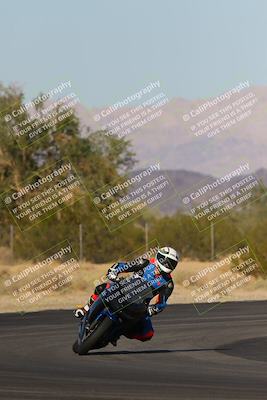 media/Nov-11-2023-SoCal Trackdays (Sat) [[efd63766ff]]/Turn 7 (2pm)/